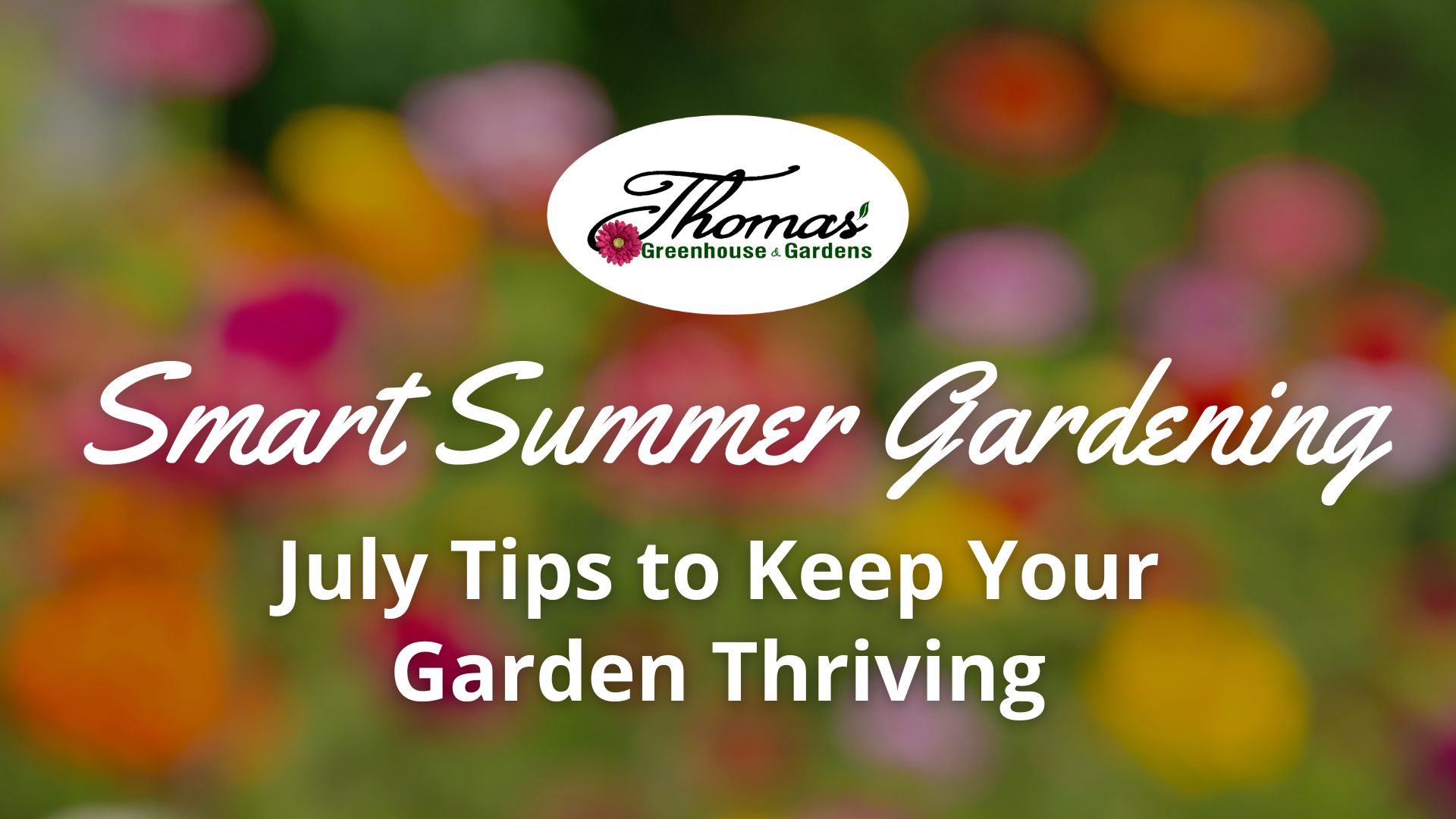 Blurry background of colorful summer flowers with text ‘Smart Summer Gardening: July Tips to Keep Your Garden Thriving’ and Thomas Greenhouse & Gardens logo.